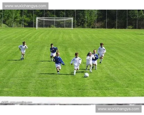 全球足球联赛全景指南：各大联赛赛制、历史与球队全解析