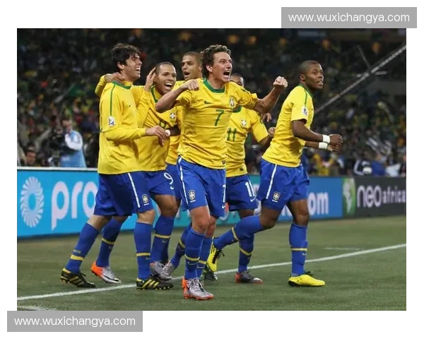 2010年南非世界杯巴西队精彩表现与足球魅力全记录